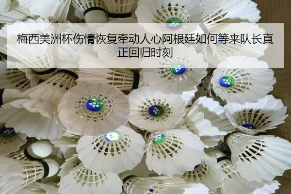 img_1780906655221_119_2_338.jpg